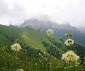 Caucasus_Mountain02-scr Скриншот 0
