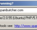 What's that web server running Скриншот 0