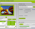 SoftMetro DVD to iPod/PSP Converter Скриншот 0