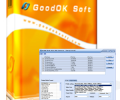 GoodOK Flash Video FLV Converter Скриншот 0