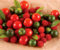 Fresh Fruits Free Screensaver Скриншот 0
