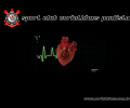 Corinthians Soccer Club Screensaver Скриншот 0