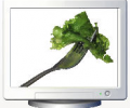 Salad Screen Saver Скриншот 0