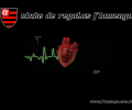 Flamengo Soccer Club Screensaver Скриншот 0