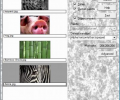 AMC Transitions 3 Plugin Скриншот 0