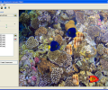 Aquarium Screensaver Maker Скриншот 0