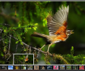 ASP.NET Image Gallery Скриншот 0