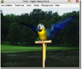 AV Digital Talking Parrot Скриншот 0