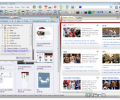 Risingware Exp+ Free Edition Скриншот 0