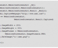 .NET Websites Screenshot DLL Скриншот 0