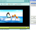 AnvSoft Web FLV Player Freeware Скриншот 0