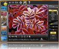 Photo-Bon Image Color Optimization Скриншот 0