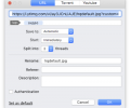 Folx torrent client Скриншот 0
