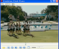 Standalone Flash Player Скриншот 0