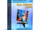 Video Wallpaper Master Скриншот 0