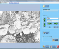 Kidware Photo Color Скриншот 0