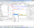TSW WebCoder Скриншот 0