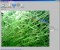 CamShot Monitoring Software Скриншот 0