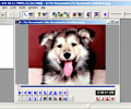 MPEG-VCR Скриншот 0