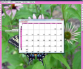 AcreSoft Calendar 2010 + Scheduler Скриншот 0
