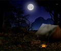 Night in the Forest - Animated Desktop Скриншот 0