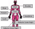 Build Your Own Body @Home Скриншот 0
