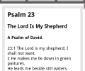 DailyBible Скриншот 0