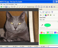Pet Eye Fix Guide Скриншот 0