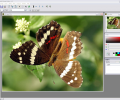 Altarsoft Photo Editor Скриншот 0