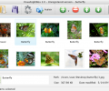 Visual LightBox Mac Скриншот 0