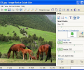 Image Resize Guide Lite Скриншот 0