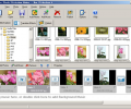 Alive Flash Slideshow Maker Скриншот 0