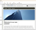 WebsitePainter Скриншот 0