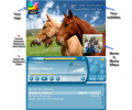 Music Organizer Freeware Ultimate Screenshot 0