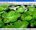 uToolbox Image Viewer Tool Скриншот 0