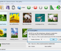 Flickr Gallery Скриншот 0