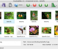 Flickr Gallery for Mac OS Скриншот 0