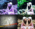 Elfin Photo Editor Скриншот 0