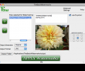 Tbw - mac watermark software Скриншот 0
