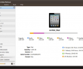 ImTOO iPad Mate Platinum Скриншот 0