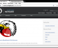 BlackHawk Web Browser Скриншот 0