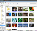 Smart Mate for DV and DVB Скриншот 0