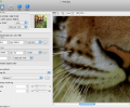PhotoZoom Classic for Mac Скриншот 0