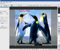 Hornil StylePix Pro Скриншот 1