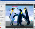 Hornil StylePix Pro Скриншот 4