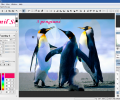 Hornil StylePix Pro Скриншот 5