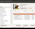 Decibel Audio Player for Linux Скриншот 0