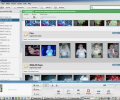 Google Picasa for Linux Скриншот 0