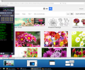 Desktop Panorama Скриншот 0
