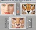 Abrosoft FantaMorph Pro for Mac Скриншот 0